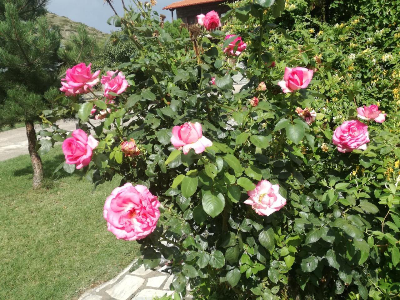Prespa Resort & Spa Platy  외부 사진