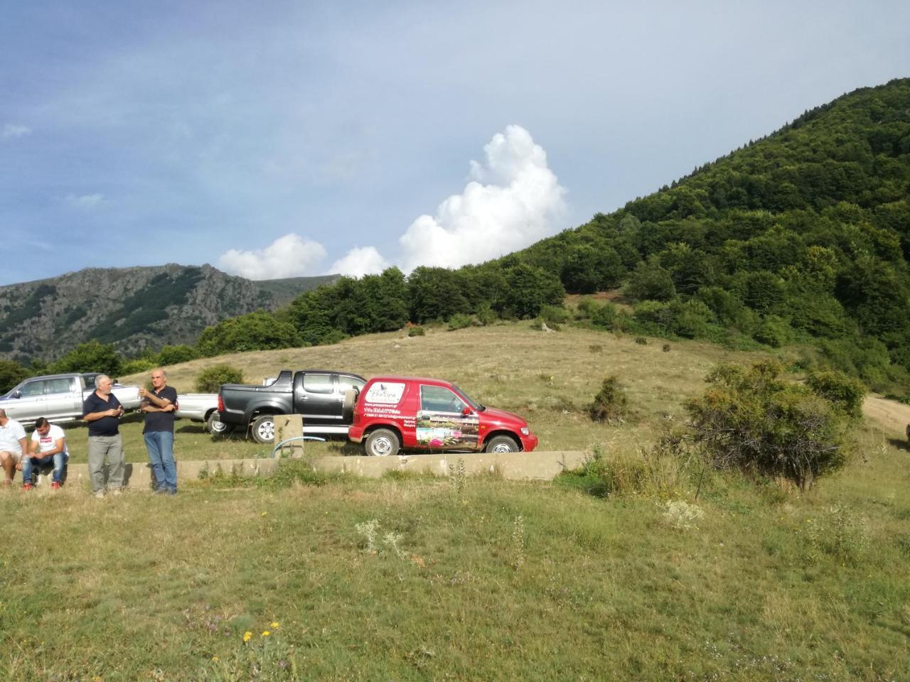 Prespa Resort & Spa Platy  외부 사진