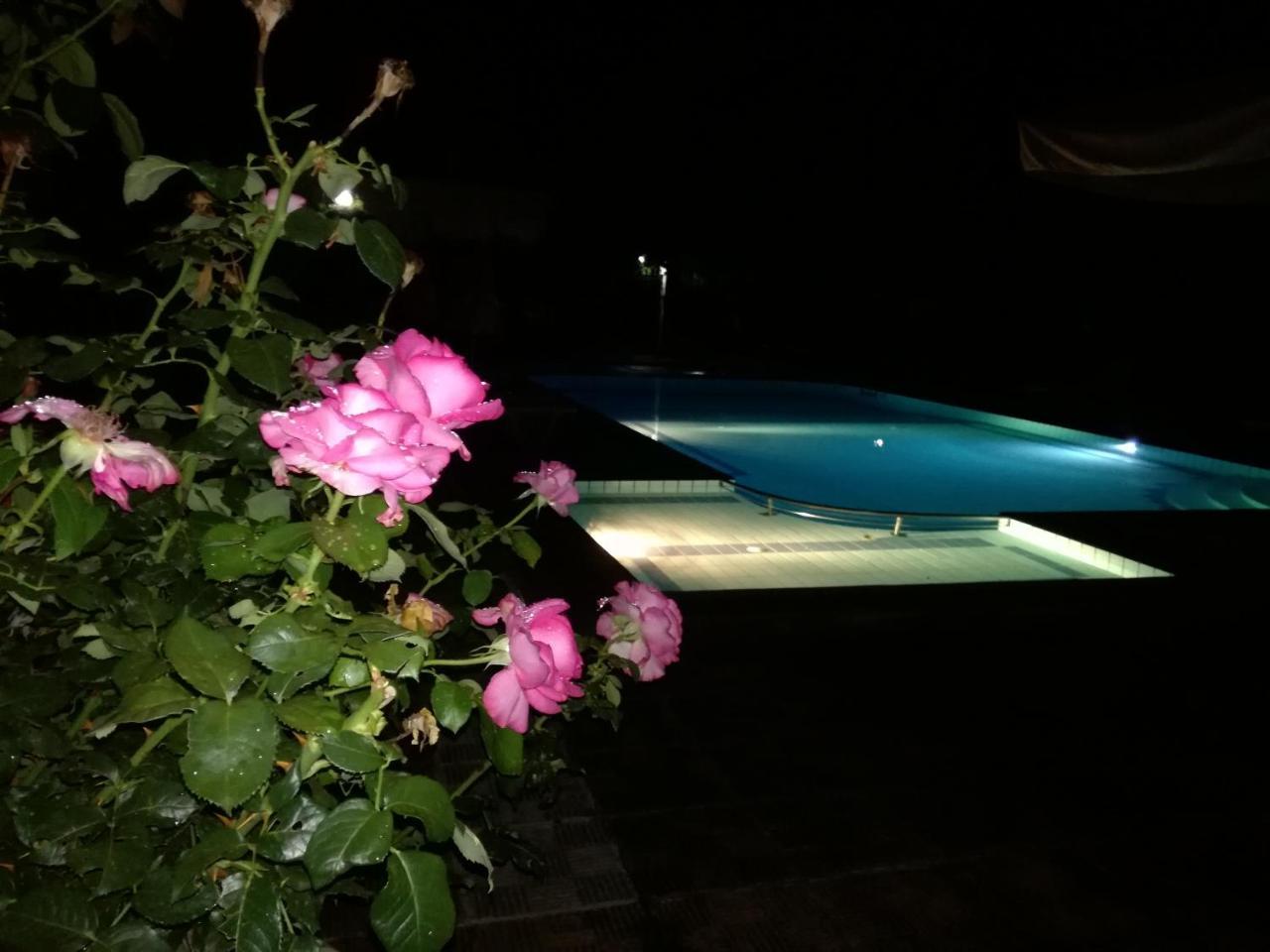 Prespa Resort & Spa Platy  외부 사진